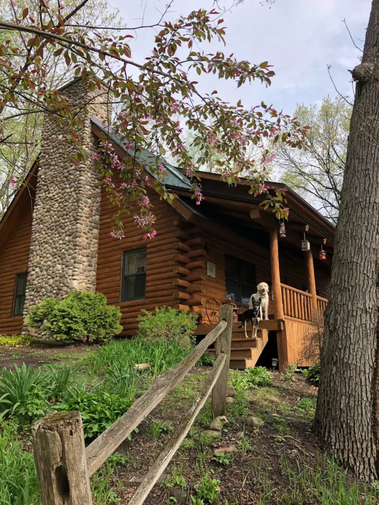 Dog-Friendly Log Home On Fox River IL Near Starved Rock, Porch, Deck, Firepit
