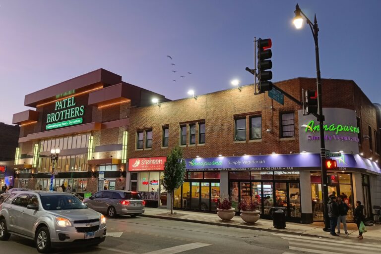 Discover the Vibrant Culture of Chicago Little India