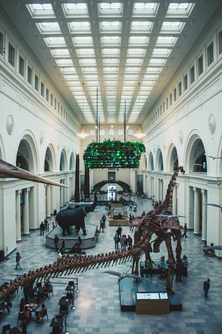 Field museum of natural history in chicago illinois