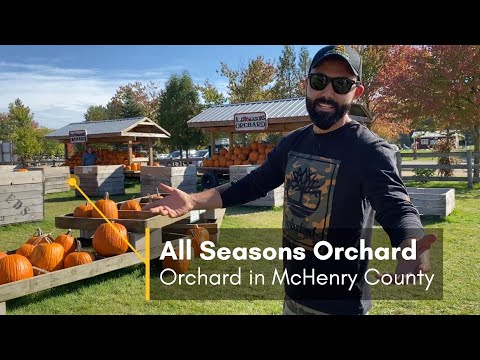 Top Apple Orchards Near Chicago