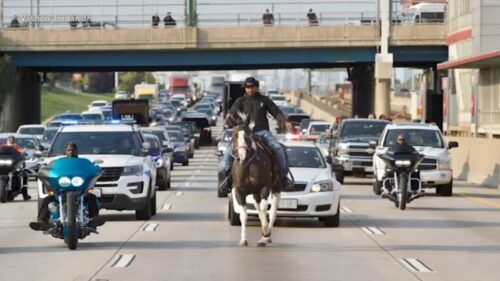 Discover Horseback Riding Spots Near Chicago